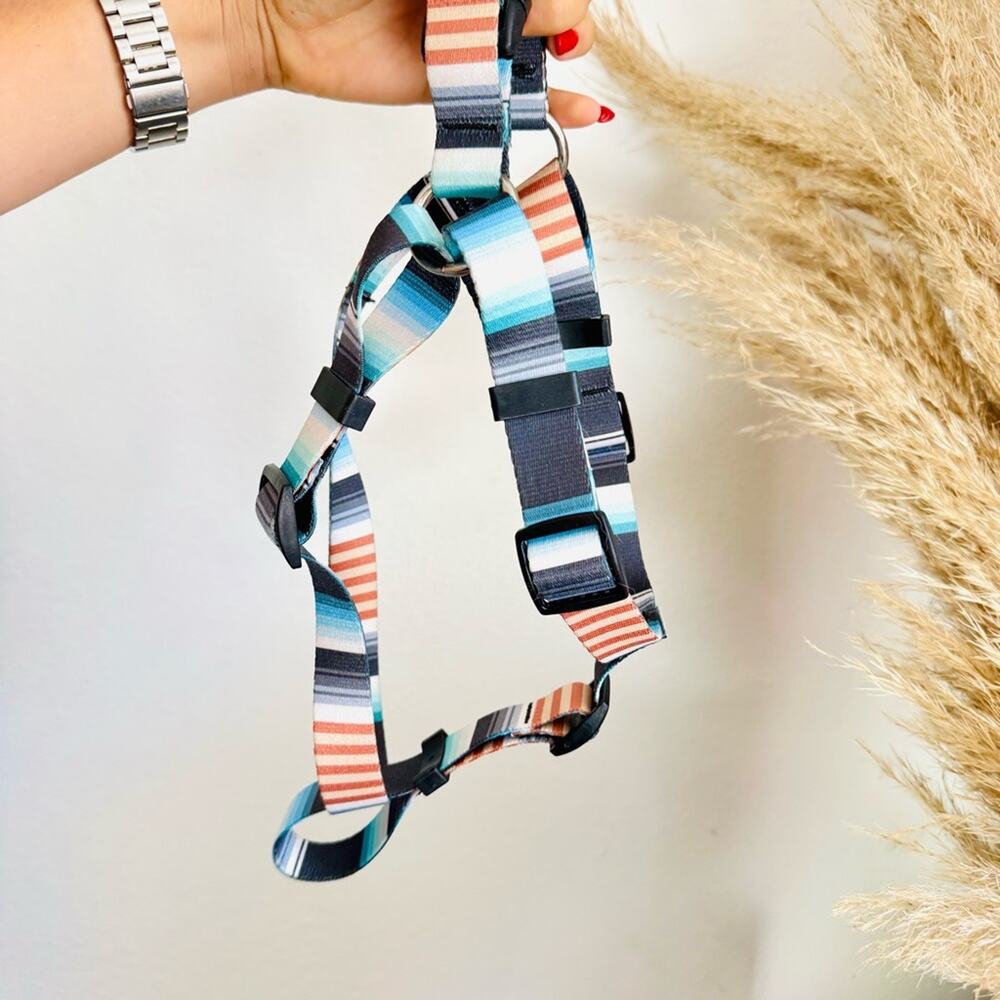 NEW LEEDS Jetty Blue White Orange Stripe Step Harness and 6โ Dog Leash $108 Set - Picture 9 of 11